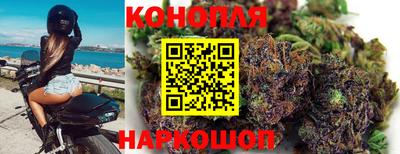 jwh Шебекино