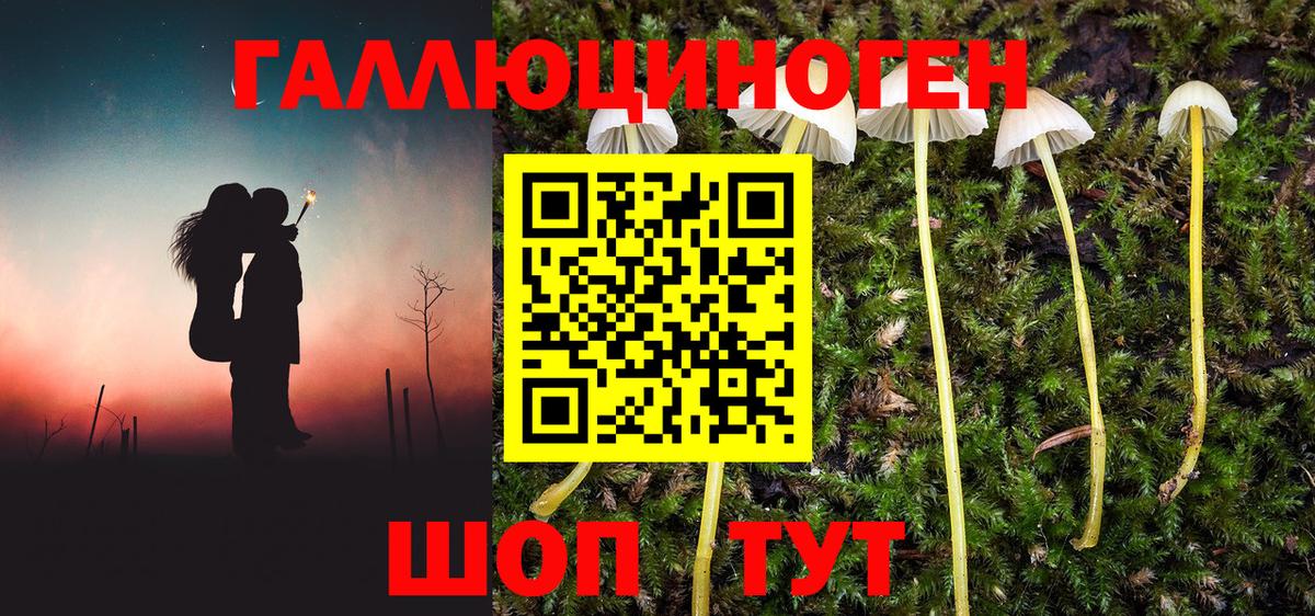 Псилоцибиновые грибы Magic Shrooms Улан-Удэ