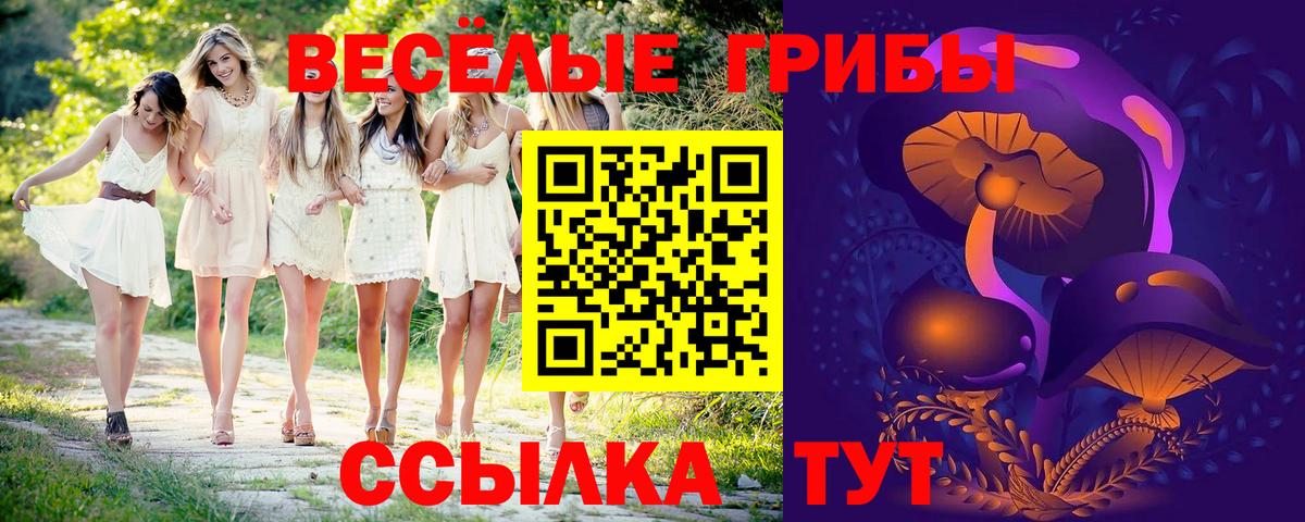 Галлюциногенные грибы Psilocybine cubensis  Галлюциногенные грибы прущие грибы  Улан-Удэ  Вход с VPN 